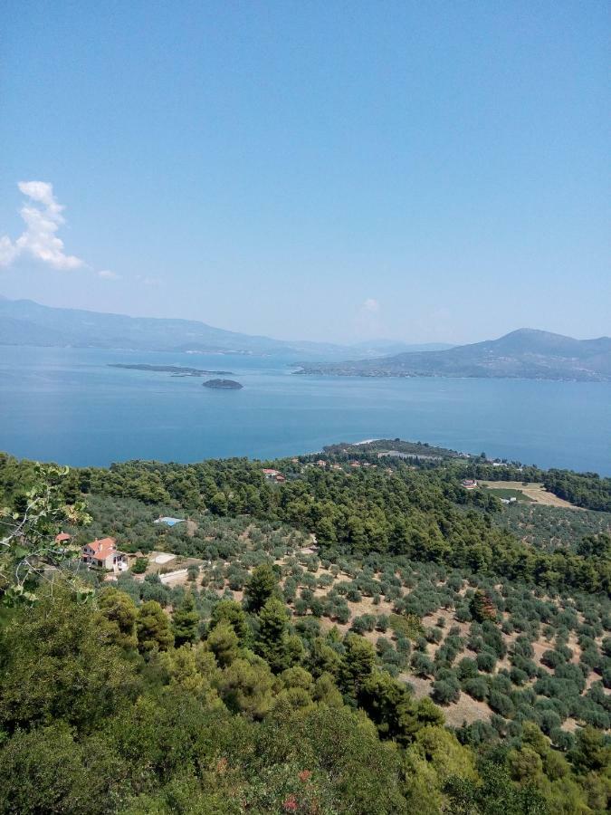 Anastasia - Efthimios Apartments Agios Konstantinos  Eksteriør billede